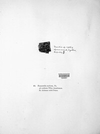 Image Associated With the Occurence